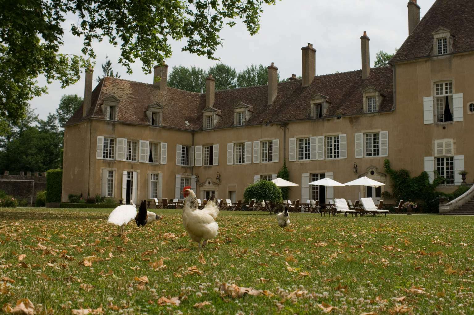 Chateau De Vault De Lugny Esterno foto